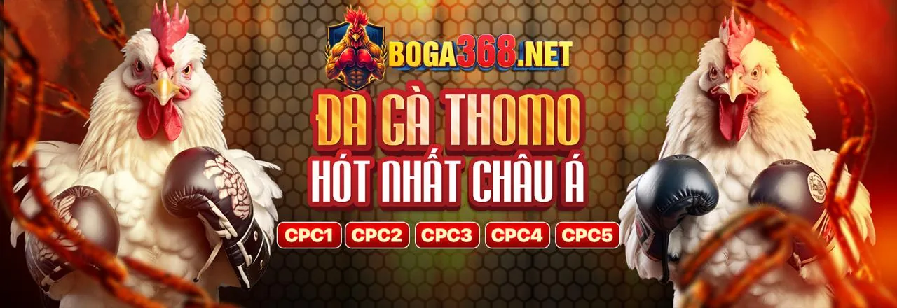 Các tính năng nổi bật của ứng dụng 777x login
